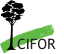 cifor